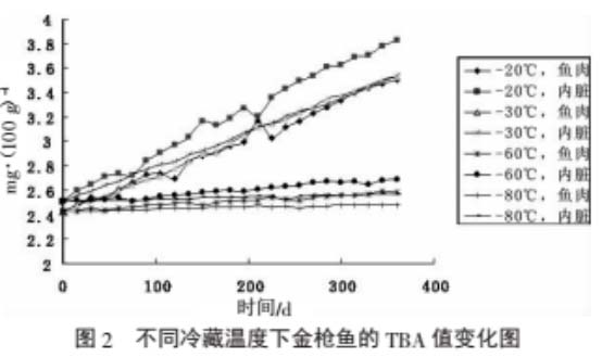 金枪鱼低温冰箱